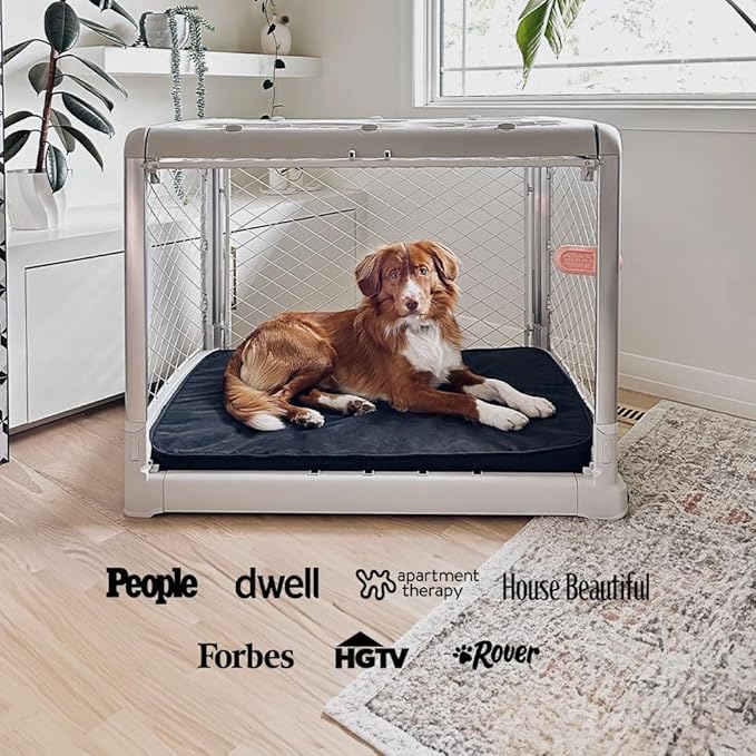 DIGGS Revol Collapsible Dog Crate with Wheels - Premium Portable Dog Crate - Safe, Stylish, and Convenient Indoor Kennel (Ash, Intermediate)-PawvioPets