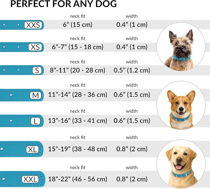 CollarDirect Rolled Leather Dog Collar, Soft Padded Round Puppy Collar, Handmade Genuine Leather Collar Dog Small Large Cat Collars 13 Colors (11-14 Inch, Light Blue)-PawvioPets