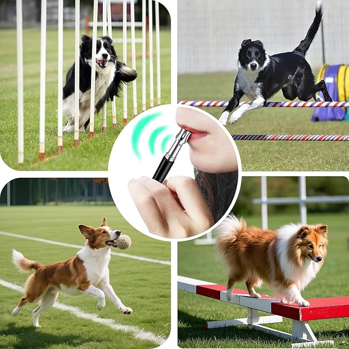 3 PCS Dog Whistles Set, Adjustable Recall Dog Training Whistle Silent Dog Whistle to Stop Barking with Lanyard,Dog Clicker(Black)-PawvioPets