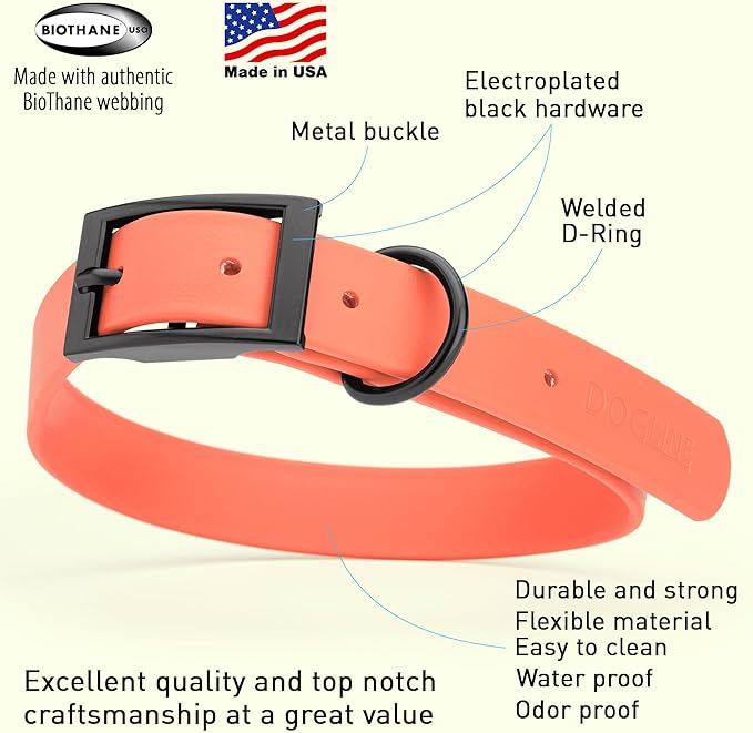 Dogline Biothane Waterproof Dog Collar Strong Coated Nylon Webbing with Black Hardware Odor- Proof for Easy Care Easy to Clean High Performance Fits Small Medium or Large Dogs, Coral-PawvioPets