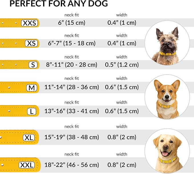 CollarDirect Rolled Leather Dog Collar, Soft Padded Round Puppy Collar, Handmade Genuine Leather Collar Dog Small Large Cat Collars 13 Colors (13-16 Inch, Yellow Smooth)-PawvioPets