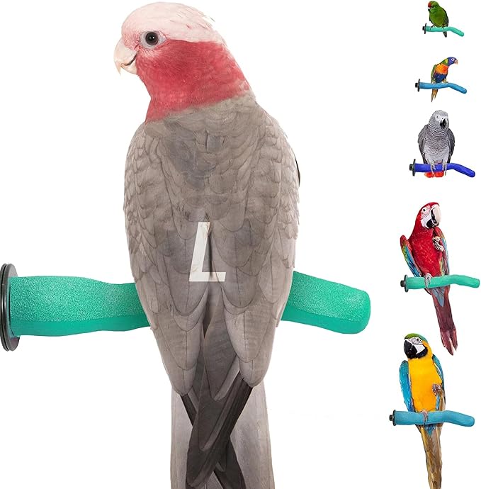 Brid Cage Safety Pumice Perch - Trims Nails and Beak - Promotes Healthy Nails and Beaks - Safe Non-Toxic Bird Supplies for Bird Cages - Large 12"-PawvioPets