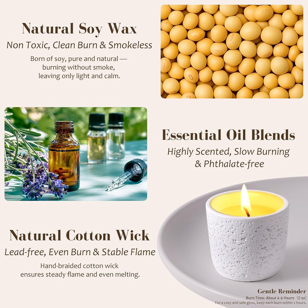 Viyffo Scented Candle Set of 6, Natural Soy Wax with Essential Oils, Long Lasting Aromatherapy Candles in Small Ceramic Jars, Perfect for Home, Relaxation, Meditation, Bath & Holiday Gifts