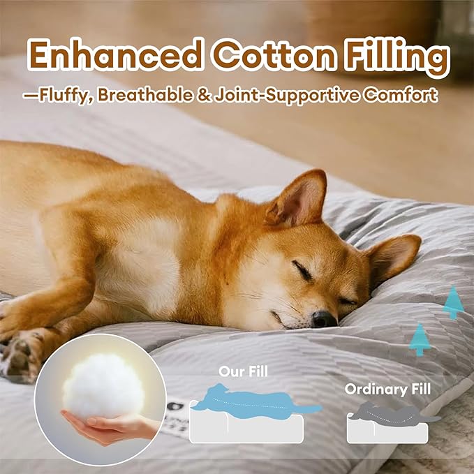 FUNNY FUZZY 2 in 1 Dog Bed Crate Pad Mat, Washable Reversible Pet Floor Mats,Fluffy Kennel Pad for Small Large Sized Dog,Indoor Cats,Sleeping Mattress, 23.6" × 17.9", Beige-PawvioPets