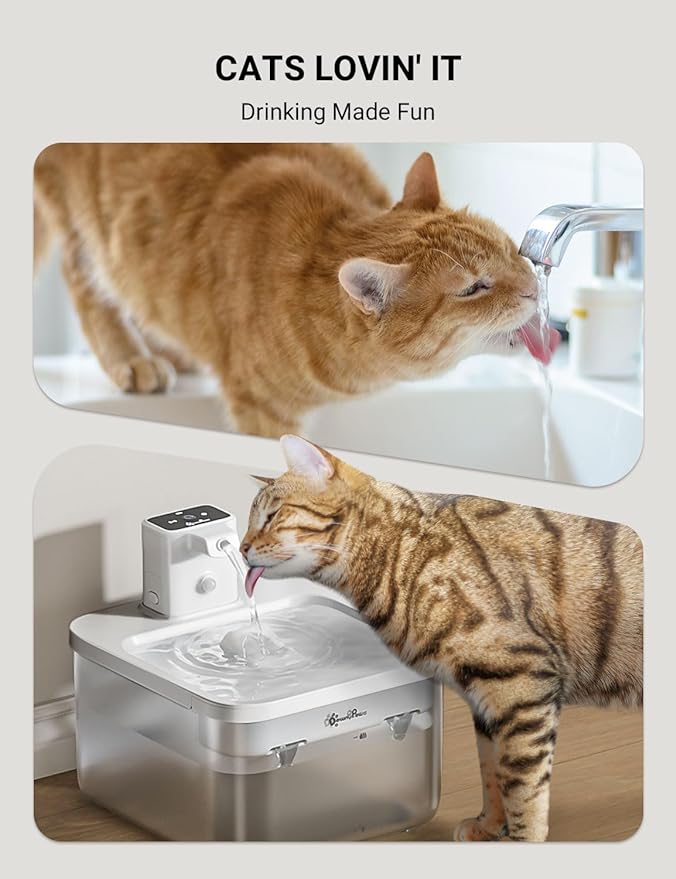 DownyPaws Battery Operated Cat Water Fountain, 84oz/2.5L Fursink Wireless Pet Water Fountain for Cats Inside, Automatic Dog Water Dispenser with Motion Sensor, Ultra Quiet Pump, BPA-Free, White-PawvioPets