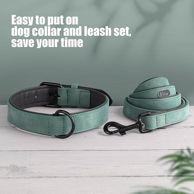 Didog Soft Padded Leather Dog Collar and Leash Set, Adjustable Dog Lead and Collar Set with Metal Buckle, Breathable Pet Collars with 4FT PU Leather Leash for Small Medium Dogs, Green, M-PawvioPets