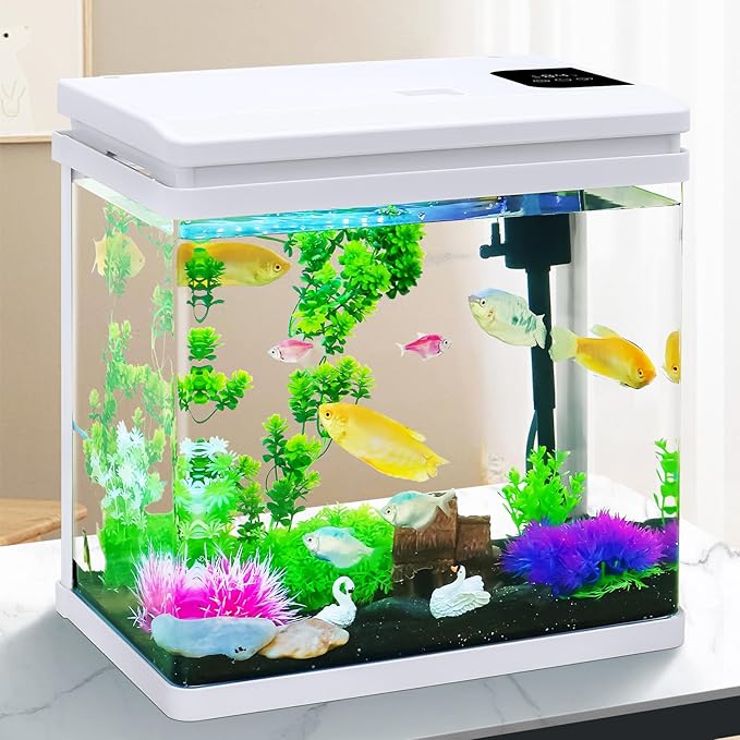 Beginner Betta Fish Tank Aquarium kit Intelligent Timed Shutdown, Seven LED Lights, Adjustable Brightness, High-Transparency Glass, Efficient Filtration Gallon (6 Gallon)-PawvioPets