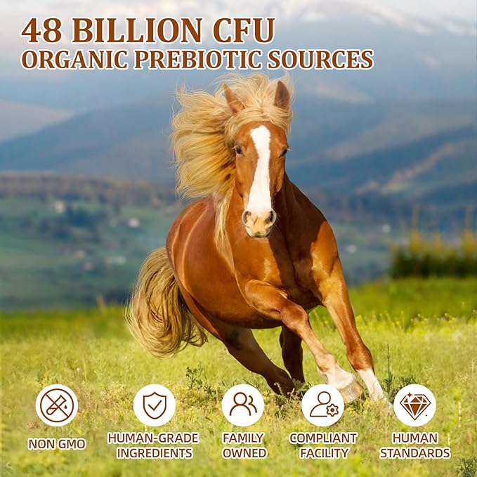 Probiotics for Horses Dietary Supplement, All-Natural Digestive System Maintenance Formula Equine Digestion Support Horse Health Supplements (90 Days)-PawvioPets