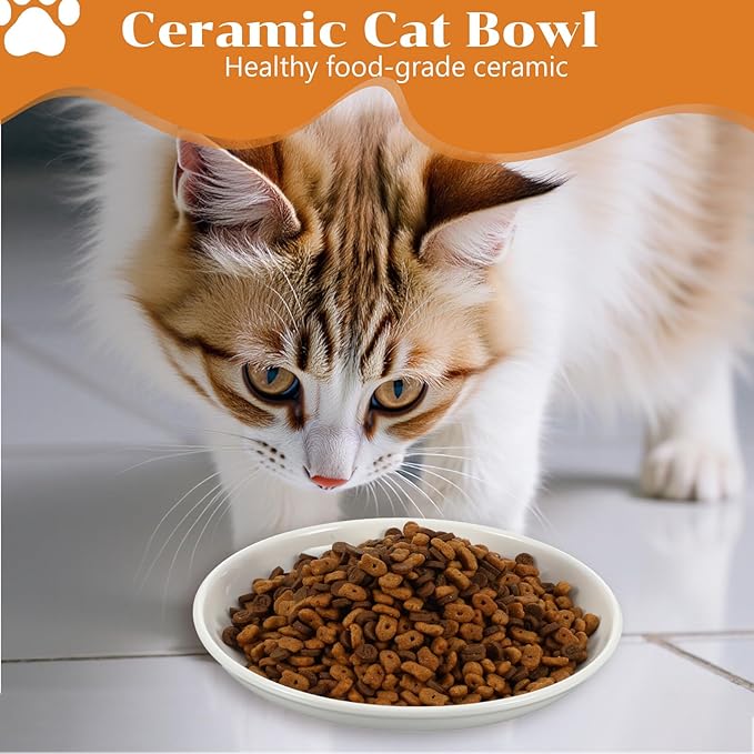 6 Pack Cat Food Bowl, Ceramic Cat Bowls, Anti Whisker Fatigue Cats Bowl Set, 5.9 Inches Shallow Wide Kitten Plates for Food and Water-PawvioPets