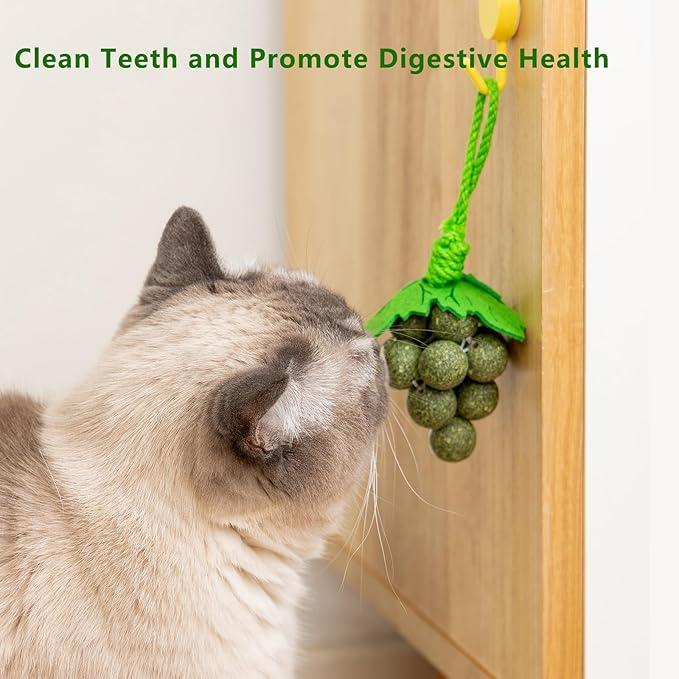 Cat Catnip Toys,2Pcs Catnip Ball for Cats,Toys for Indoor Cats,Cat Chew Exercise Toy for All Breeds and Species,Enhances Oral and Dental Health-PawvioPets