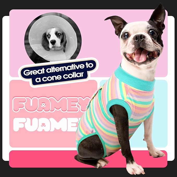 FUAMEY Recovery Suit for Dogs After Surgery,Soft Breathable Dog Bodysuit E-Collar & Cone Alternative Surgical Suit,Male Female Dog Neuter Spay Suits Anti Licking Wounds Onesie Mint Green Stripes XL-PawvioPets