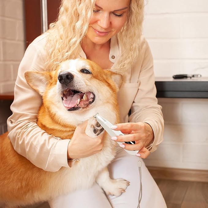 2 Mode Paw Trimmer for Dogs & Cats - Electric Quiet Dog & Cat Grooming Trimmer, Rechargeable Clipper with LED Light, 2 Blades, Waterproof for Paws/Ears/Face-PawvioPets