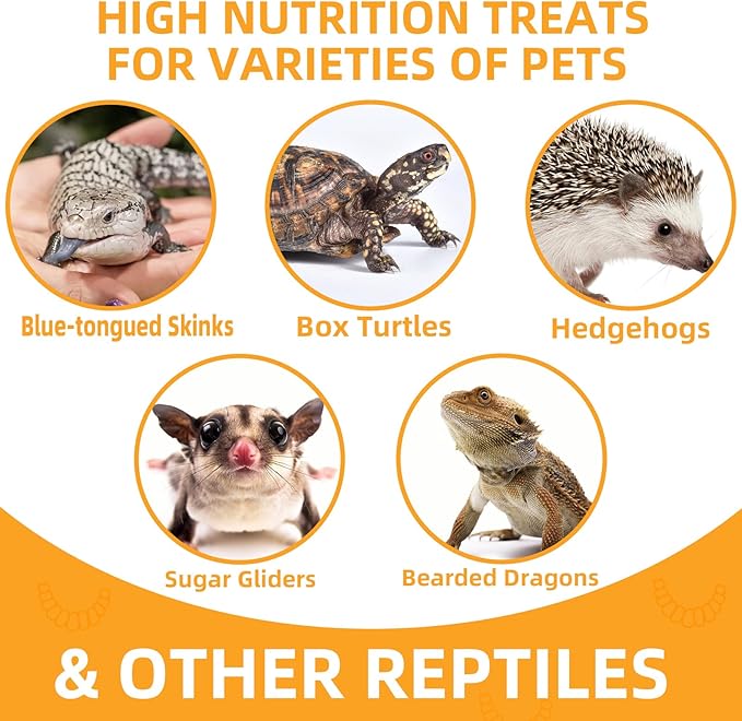 Freeze Dried Mealworms 6 Oz - High Protein Pet Food for Reptiles, Bearded Dragons, Birds & Hedgehogs - Nutrient-Packed Treat for Lizards, Geckos, Turtles, Chickens-PawvioPets