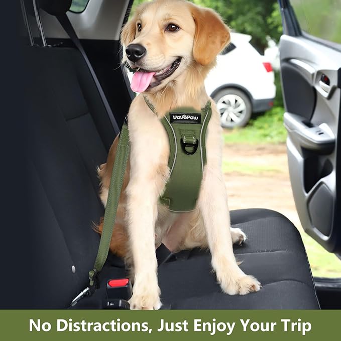 Dog Seat Belt Harness for Car, Dog Car Harness Adjustable Mesh Breathable & Dogs Seatbelt Safety Tether with Elastic Bungee for Small Medium Large Pets(Army Green, M)-PawvioPets