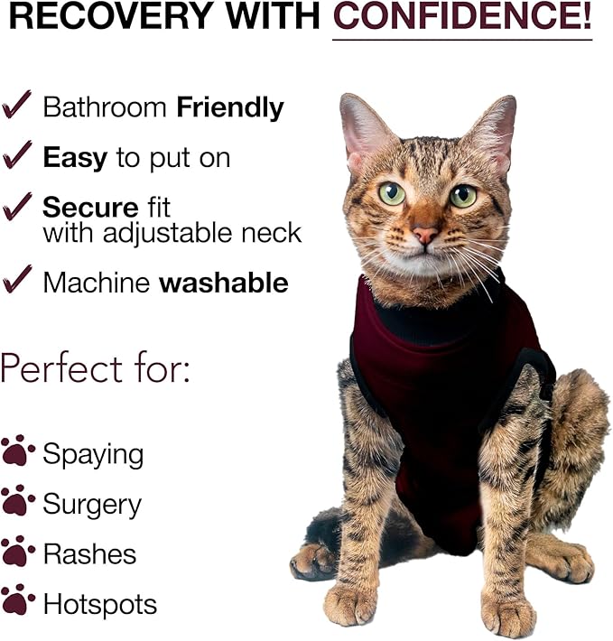 Bellyguard Cat Recovery Suit Female and Male, Comfy Onesie After Surgery, Kitten Clothes for Post-Op Care, Neuter and Spay Healing Outfits for Cats Only – Comfortable Kitten and Adult Cone Alternative-PawvioPets