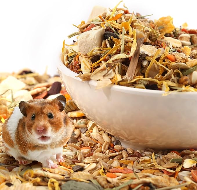 Gourmet Hamster & Gerbil Food, Dry Food for Hamsters-Supports Healthy Digestion and Healthy Teeth Unique Edible Treats for Guinea Pigs, Hamsters, Gerbils-PawvioPets