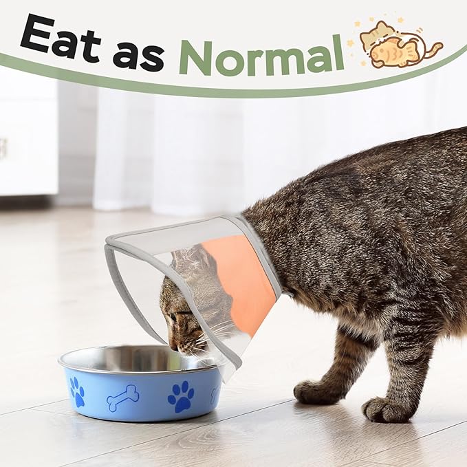 Cat Cone Collar Soft: Comfortable Waterproof Mesh Recovery Cone After Surgery to Stop Licking and Scratch, Alternative to Plastic Elizabeth Head/Neck Cone-PawvioPets