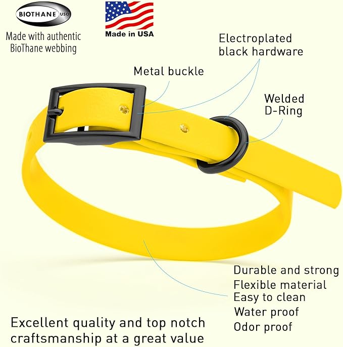 Dogline Biothane Waterproof Dog Collar Strong Coated Nylon Webbing with Black Hardware Odor- Proof for Easy Care Easy to Clean High Performance Fits Small Medium or Large Dogs, Lemon Yellow-PawvioPets
