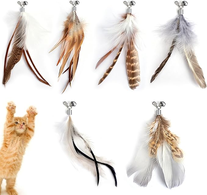 Cat Feather Toys Refills Cat Wand Replacement Feathers 6 PCS Handmade Cat Toy Feather Refills for Cat Wand Attachments Interactive Feather Cat Toy for Indoor Cats-PawvioPets