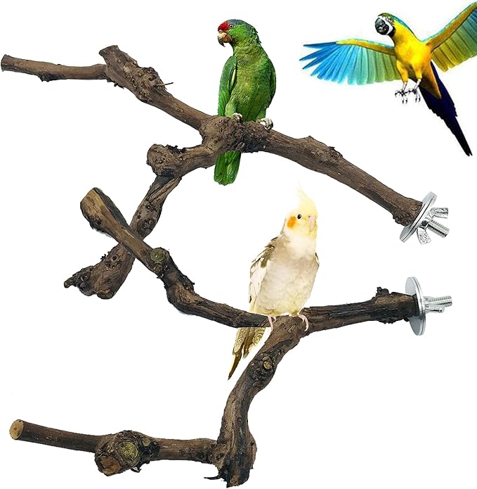 Allazone 4-Piece Bird Perch - Natural Grapevine Stick Swing Chewing Toys for Parrot Cages, Cockatiels, Parakeets, Finches-PawvioPets