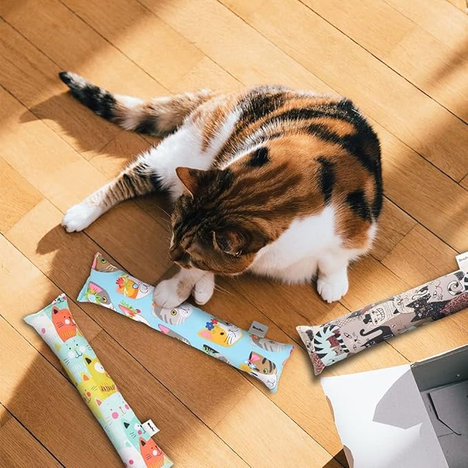 BINGPET 3 Pcs Catnip Toy Cat Kicker Toys, Durable and Bite Resistant Cat Chew Toy, Filled with Natural Catnip, Indoor Kitty Kick Pillow Toy with Cute Printing-PawvioPets