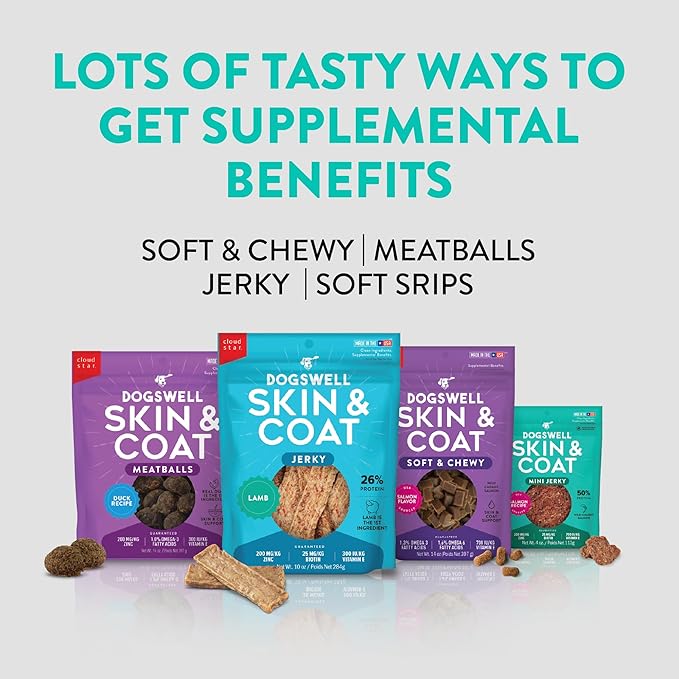 Dogswell Skin & Coat Mini Jerky Dog Treats, Salmon, 4 oz. Bag-PawvioPets