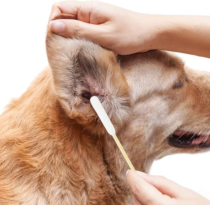 Dog Q Tips, Qtips Cotton Swabs for Dogs, 6-Inch Long Ear Cleaning Swabs, Wound Care, 800 Count, Eco-Friendly Bamboo Cotton, Pet Ear Care-PawvioPets