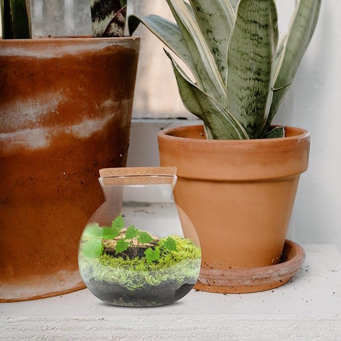 Fish Bowl with LED Light - Small Betta Fish Tank with LED Lighting and Lid Glass Fish Bowl Small Aquarium for DIY Landscape-PawvioPets