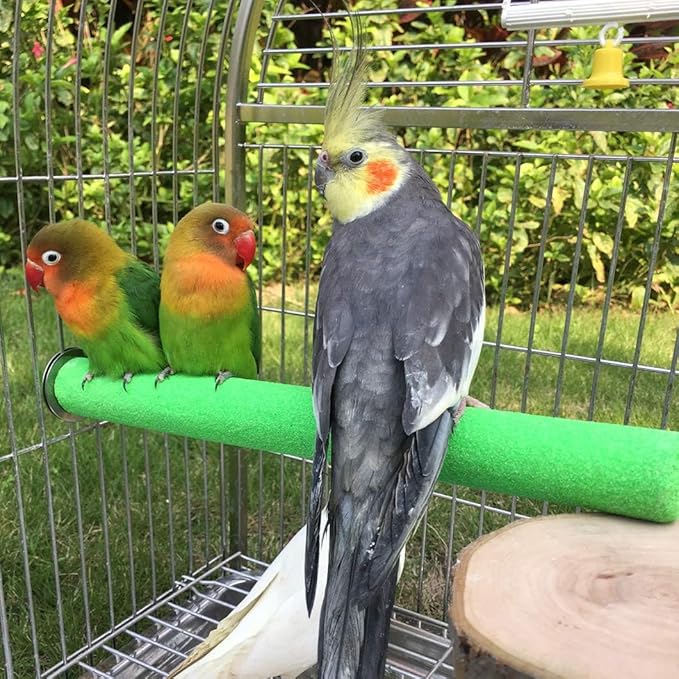 Bird Perch Rough-surfaced Nature Wood Stand Toy Branch for Parrots-PawvioPets