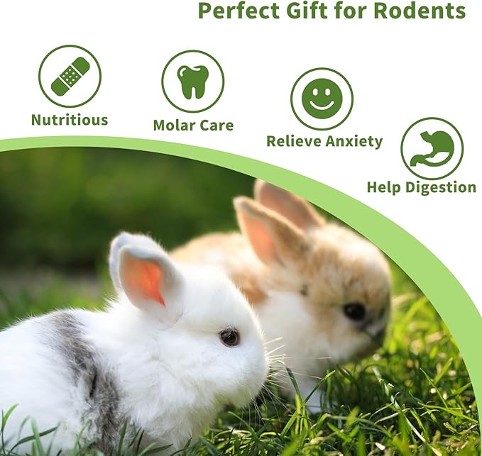 Fhiny Rabbit Chew Toys, 6 PCS 3.9" Natural Papaya Wood Chew Sticks Guinea Pig Treats for Dental Care Bunny Treats for Rabbits Small Pet Molar Snacks for Bunny Guinea Pig Chinchilla Hamster Gerbil-PawvioPets