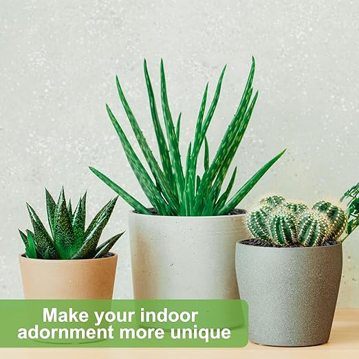 5 lbs Pebbles for Indoor Plants, Succulent, Cactus, 1/5 Inch Small Lava Rock for Plants Drainage, Natural Horticultural Volcanic Rock, Top-Dressing-PawvioPets