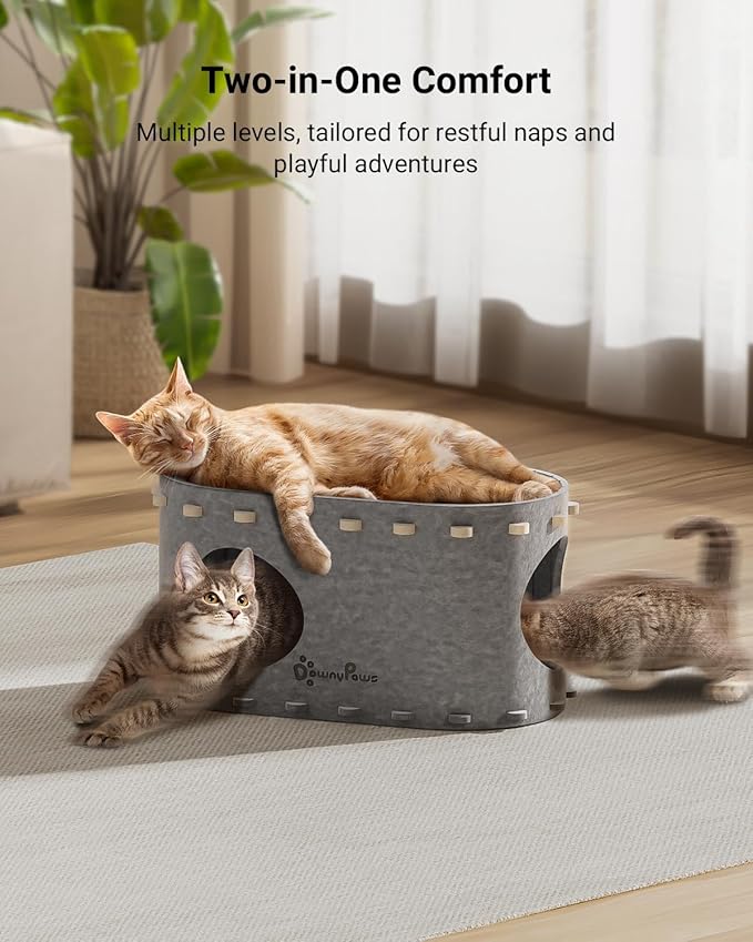 DownyPaws Cat House for Indoor Cats, Cat Bed Cave for Multiple & Large Cats Up to 22 Lbs, Scratch Resistant, Foldable Peekaboo Kitten Caves Tunnel Enclosed Bed, PeekaPurr, Light Gray-PawvioPets