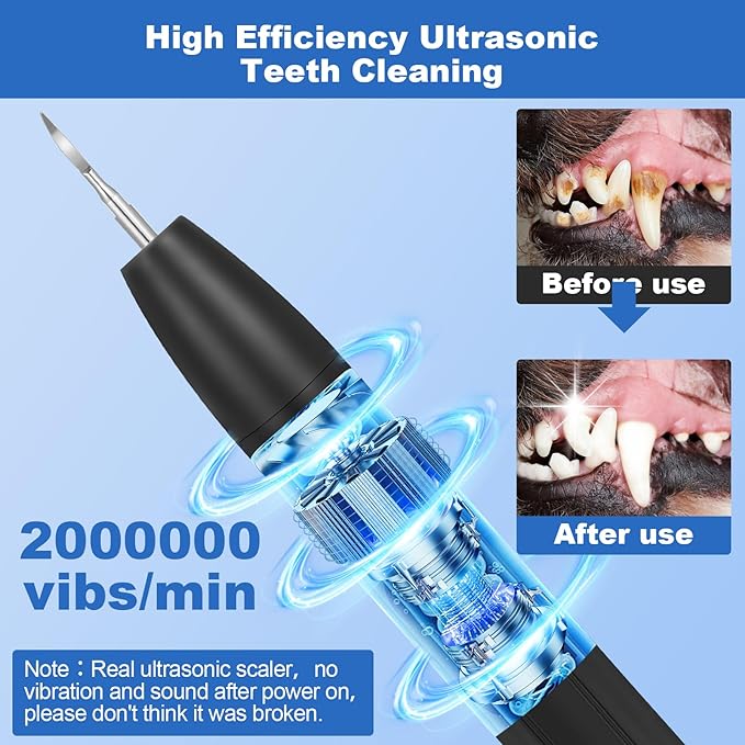 Dog Tooth Brushing Kit,Dogs Teeth Cleaning Kit with Light,3 Modes Doggie Plaque and Tartar Remover for Teeth,Low Noise Dog Teeth Cleaner and Dental Care, Black1-PawvioPets