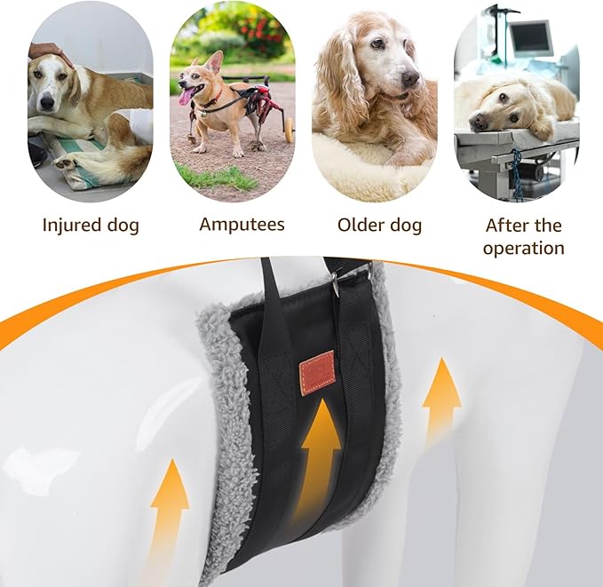 Adjustable Dog Lift Harness, Dog Sling for Large Dogs Hind Leg Support, Soft Lift Support Helps Senior, Injured, Disabled and After ACL Surgery Dogs-Black & Grey (X-Large)-PawvioPets