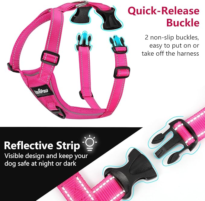 Dog Seat Belt Harness for Car, Dog Car Harness Adjustable Mesh Breathable & Dog Seatbelt Safety Tether with Elastic Bungee for Small Medium Large Pets(Rose, M)-PawvioPets