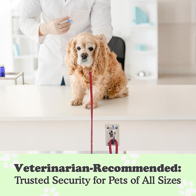 Canine Hitch- Secure Dog Leash Parking Mounted Indoor – Outdoor Wall Hook - Tie Out Stainless Steel Practical Lead Management for Home & Business, Ultimate Strength 6 Packs-PawvioPets