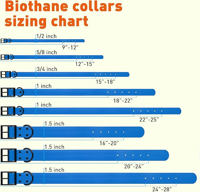 Dogline Biothane Waterproof Dog Collar Strong Coated Nylon Webbing with Black Hardware Odor- Proof for Easy Care Easy to Clean High Performance Fits Small Medium or Large Dogs, Cerulean Blue-PawvioPets