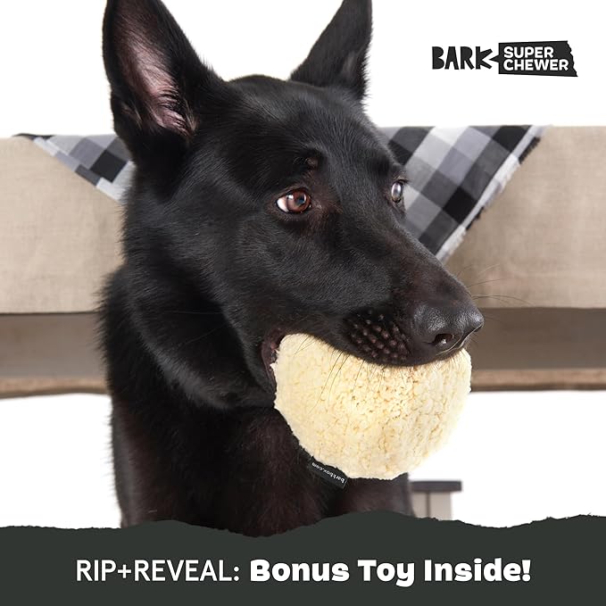 Barkbox Potato 2-in-1 Dog Toy - Tough Plush Squeaky Chew Toy for Large Dogs | Large-PawvioPets