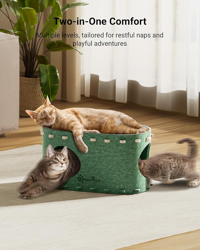 DownyPaws Cat House for Indoor Cats, Cat Bed Cave for Multiple & Large Cats Up to 22 Lbs, Scratch Resistant Peekaboo Cat Caves, Foldable Tunnel Enclosed Bed, PeekaPurr, Forest-PawvioPets