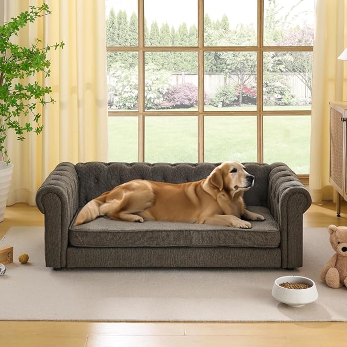 Dog Sofa Couch for Medium to Large Dogs, 55" Memory Foam Pet Sofa Couch with Washable Fabric, Durable Elevated Dog Bed with Legs, Removable Cushion for Medium and Large Dogs, Dark Grey-PawvioPets