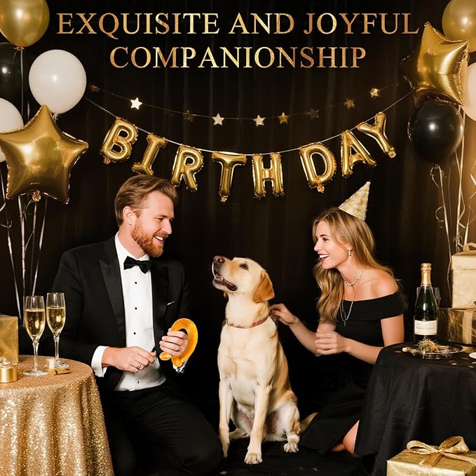 6 Pack Indestructible Dog Toys for Aggressive Chewers, Durable Nylon Bone for Large Dogs, Dog Toy for Aggressive Chewer Large Breed, A Mixed Special Edition Set-PawvioPets