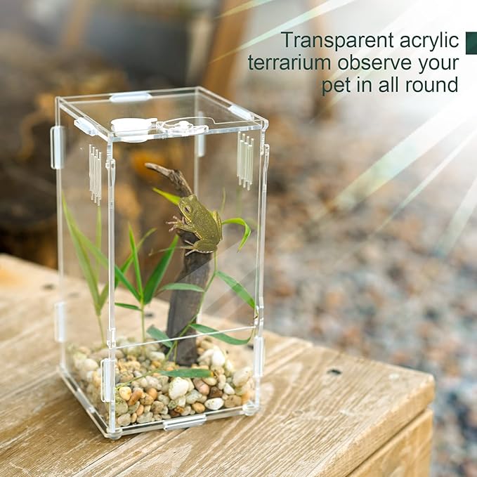BETAZOOER Acrylic Mini Reptile Tank Habitat Transparent Terrariums with Locking Latch Suitable for Tarantula Isopod Roach Invertebrates (4''x4''x8'')-PawvioPets