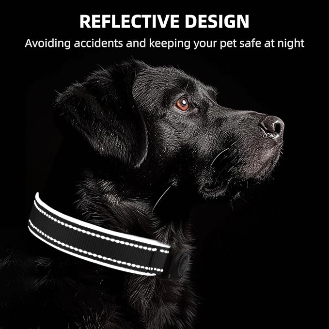 Airtag Dog Collar - 100% Waterproof Air tag Dog Collar Holder for Apple AirTag, Reflective, Soft Padded, Everlasting, GPS Dog Collar for Small Medium Large Dogs (Black, L)-PawvioPets