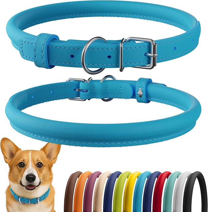 CollarDirect Rolled Leather Dog Collar, Soft Padded Round Puppy Collar, Handmade Genuine Leather Collar Dog Small Large Cat Collars 13 Colors (11-14 Inch, Light Blue)-PawvioPets