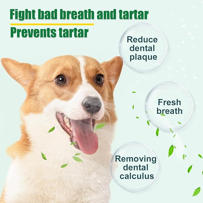 Dog Dental Powder - Dog Teeth Cleaning Powder,Pet Breath Freshener for Teeth Cleaning,Tartar Remover & Reduces Plaque & Bad Breath,Dental Care Supplies for Dogs Cat-Beef Flavor 50g-PawvioPets