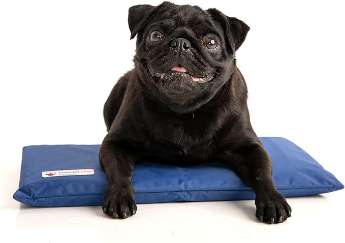 Dog Cooling Pad Dog Cooling Products Hydro Cooling Mat (18"x10.5") (Mini)-PawvioPets