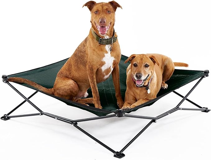 Coolaroo On-The-Go Elevated Dog Bed - Foldable Pop-Up Travel Dog Bed with Breathable, Moisture-Resistant Fabric, Carry Bag Included, Lightweight & Portable, Brunswick Green, Extra Large-PawvioPets