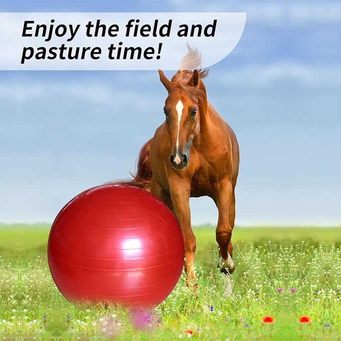 17-Inch Equine Ball for Play & Training - Anti-Burst, Mega Horse Soccer Ball for Goat, Donkey-PawvioPets