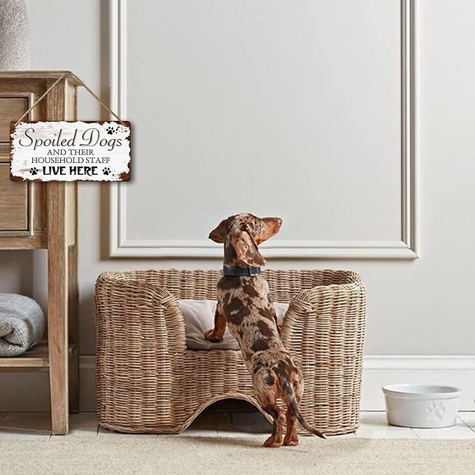 Dog Signs For Home Decor Gifts For Dogs Owners Dog Bedroom Decor Wood Dog Family Decoration Dog Room All You Need Is Love And A Dog Sign Spoiled Dogs And Their Household Staff Live Here Signs 12x6 In-PawvioPets