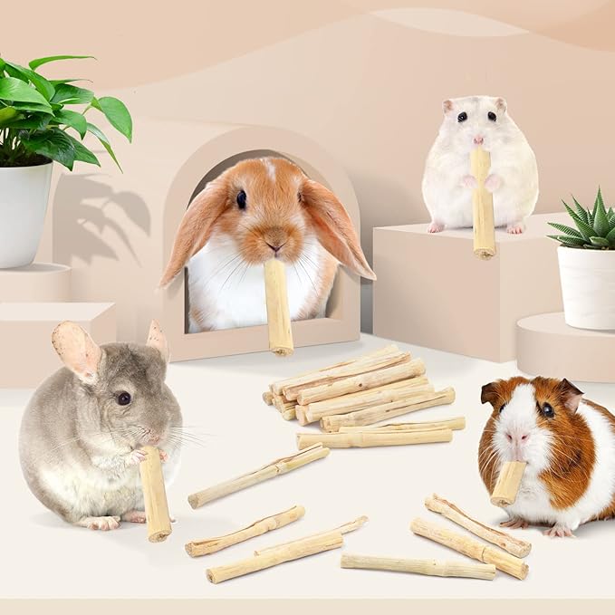 Bissap Sweet Bamboo Chew Sticks for Rabbits 1000g/2.2Ib, Bunny Chew Sticks for Rabbits Hamster Chinchilla Guinea Pigs Rabbit Small Animals Natural Treats Teeth Grinding Chew Toys-PawvioPets